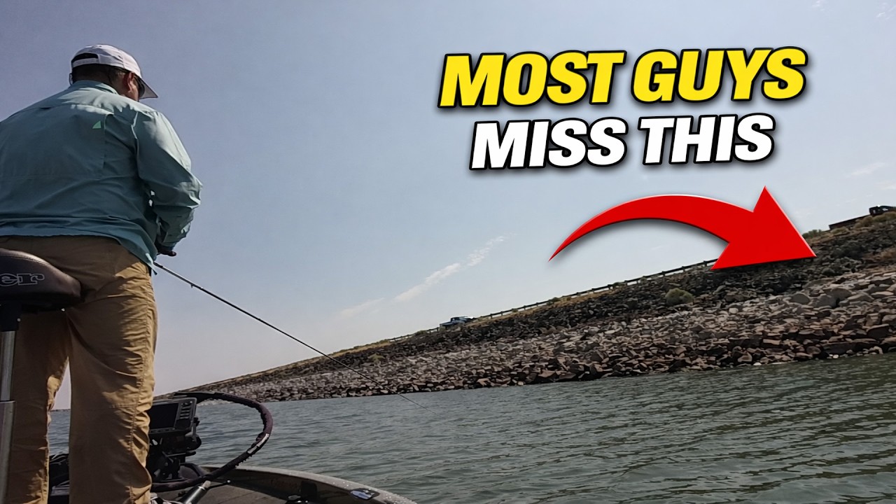 Hard Bottom Bass Secrets | Bass Fishing