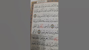 سورة النحل 65_67  #القرآن_الكريم #قرآن #قرآن_كريم #تلاوة_خاشعة #سورة_النحل بصوت #محسن_کردستانی