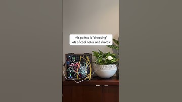 Plants play synth. Each one is so different!