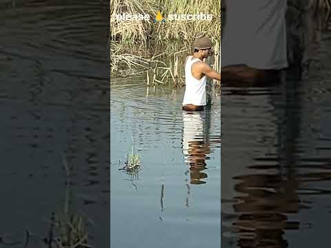 #fishing #video fishing#video#fish#shirts#fishing#nvrguru