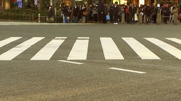 ULTRAHARM | Moment Of Motion | Moog Mother-32, Elektron Analog Four, Arturia Microbrute