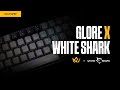 GLORE X WHITE SHARK 🦈