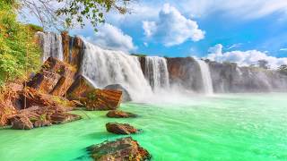 Peaceful Mind Meditation Relax Mind Positive Vibes Yoga Balanced