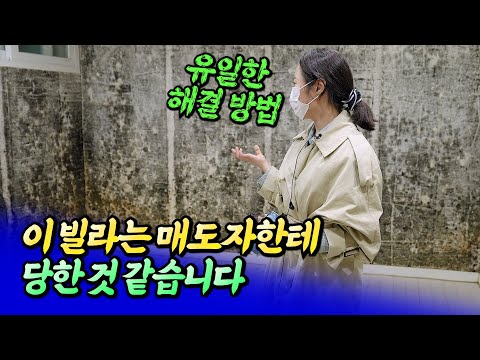 빌라 곰팡이 제거할 때 주의해야 할 점ㅣ칼리오페 2부 [후랭이TV]