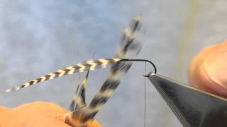 Reverse Hackled Dry Fly (generic) - tied by Hans Weilenmann