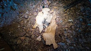 What Intriguing Discovery Did I Find in this Mine Adit?