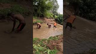 Download Lagu harvesting Sandy from the river MP3