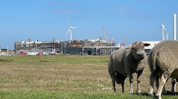 Eemshaven - 22.8.2023 - FREMANTLE HIGHWAY Panama