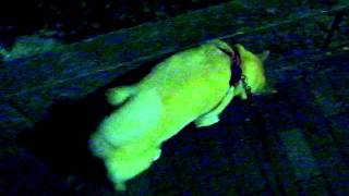 20111002r2_1598.avi