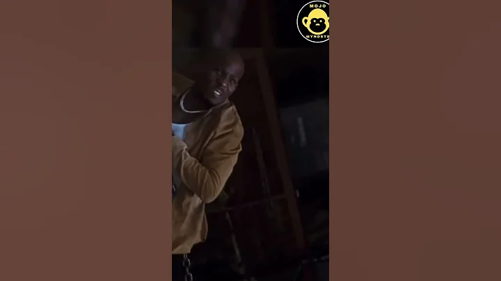 When DMX’s shoulder was dislocated by Steven Seagal