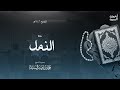 سورة النمل ليالي رمضان ١٤٤٦ الشيخ أحمد السيد 