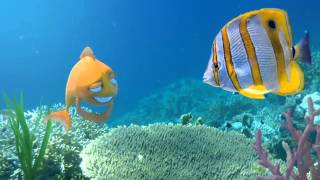 Sasktel The Player - 15S