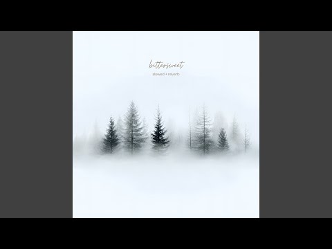 Olexandr Ignatov - bittersweet (slowed + reverb)