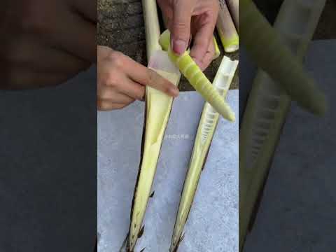 Cutting Fresh Bamboo So Satisfying!