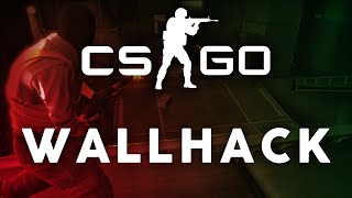 CS:GO Wallhack Confirmed
