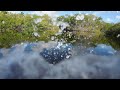 Forest FPV session + swoop pond drone-toe-drag 💦