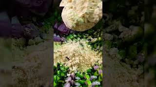 Onion Flower Stalk Vadayummy