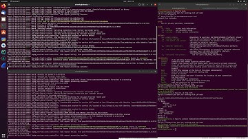 LNP Node 0.1 Alpha 4 Console launch