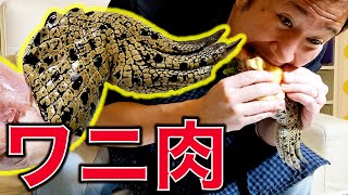 なんだこいつ〜!クッキング第4弾 池谷がワニ料理に挑戦!【ジョイマン/ラップ/コント/ネタ/お笑い/芸人/吉本/よしもと/中尾班/HIPHOP/ヒップホップ】
