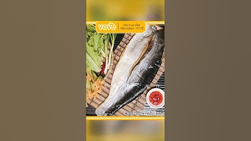 Săn trăm ký cá từ đống chà khô hồ Dầu Tiếng