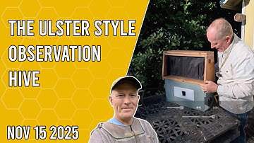De Ulster Style Observation Hive - Jacksonville FL Zone 9b