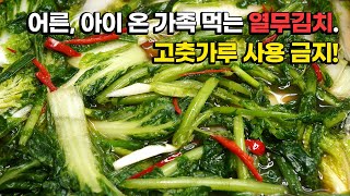 아이들도 먹을 수 있는 열무김치 만들기. 고춧가루 빼고 '이것' 넣으세요. 어른 입에도 꿀맛입니다.