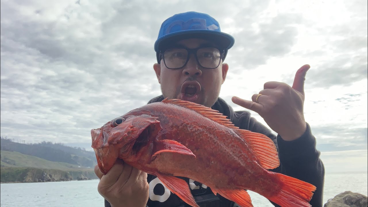Rockfishing Vermillion Rockfish from shore!! YouTube