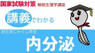 【看護師国家試験】内分泌・ホルモン【解剖生理学講座】