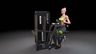 DHZ Fitness EVOST II - A3034 Vertical Row
