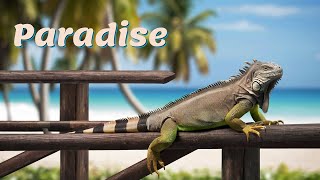Iguana Island: A Trip to the Planet's Weirdest Paradise