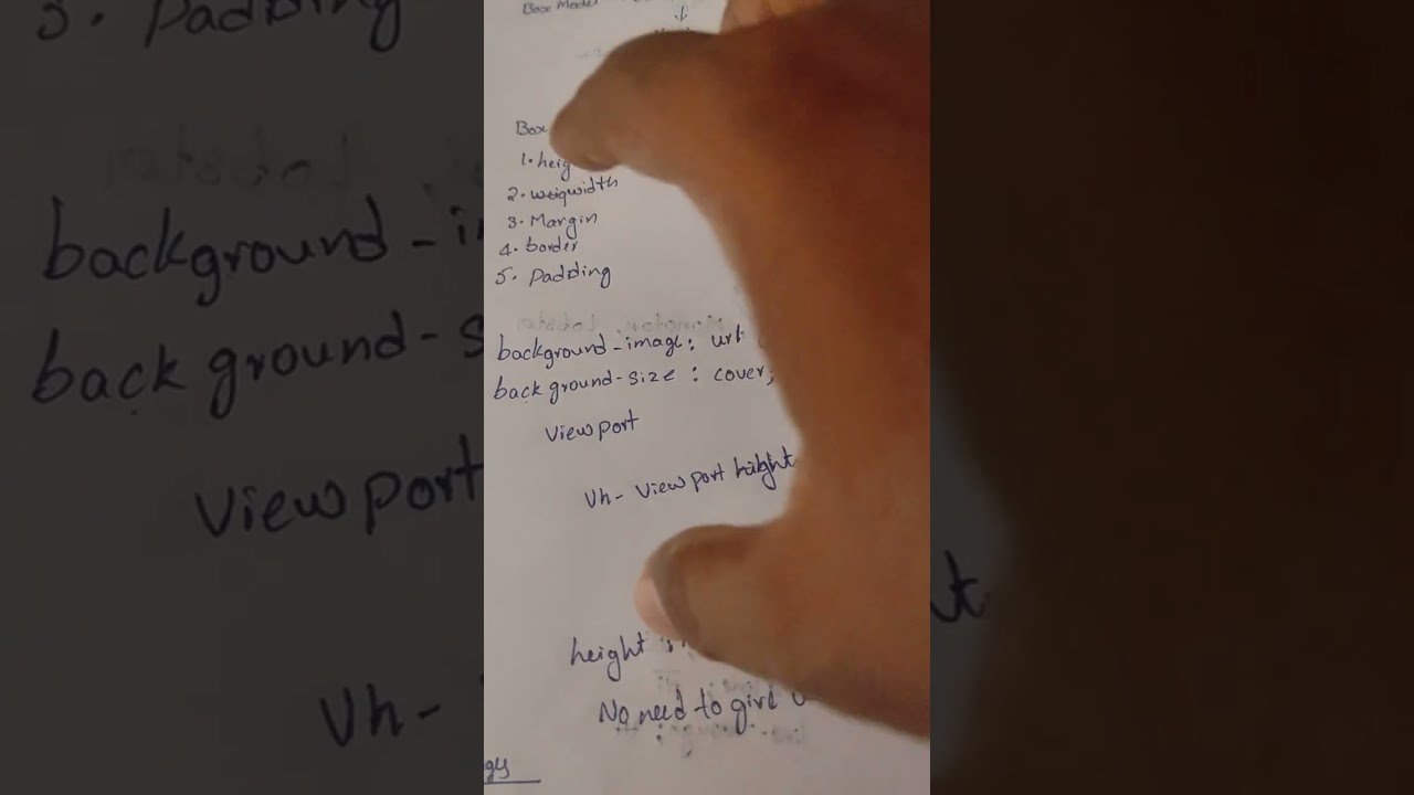 CSS Box Model Frontend Development 