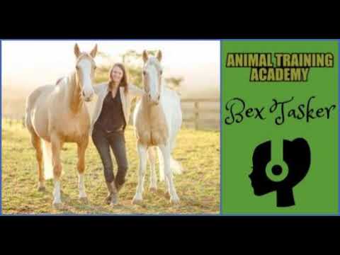 camera iphone 8 plus apk [Episode 102] Bex Tasker – Positively together