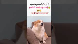 बहुत खुशी हो रहा है #funny #aestheic #reaction #dogs #funnyshorts #viral
