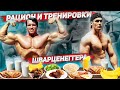 РАЦИОН ПИТАНИЯ И ТРЕНИРОВКИ АРНОЛЬДА ШВАРЦЕНЕГГЕРА