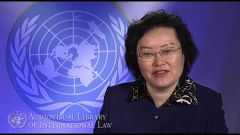 Judge Xue (ICJ) on Transboundary Damage in International Law - DayDayNews