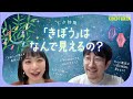 【宇宙ひとつまみ🛰️🤏】02 - 「きぼう」は、なんで見えるの？