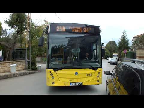 İstanbul Özel Halk Otobüsü Temsa Avenue LF (B-1914) Ferahevler Durağından Çıkış Videosu