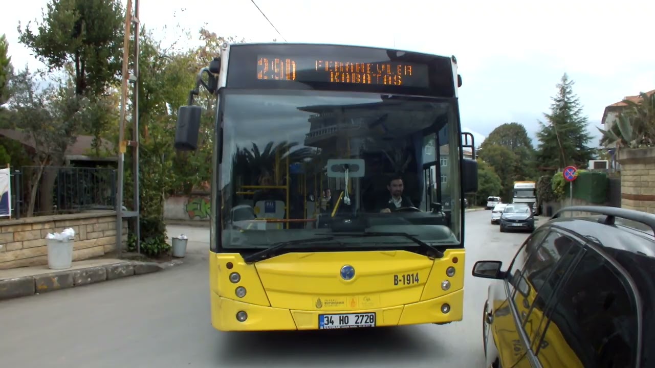 İstanbul Özel Halk Otobüsü Temsa Avenue LF (B-1914) Ferahevler Durağından Çıkış Videosu