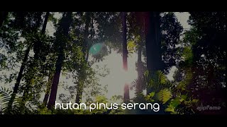 ALAM HUTAN PINUS || Cinematic
