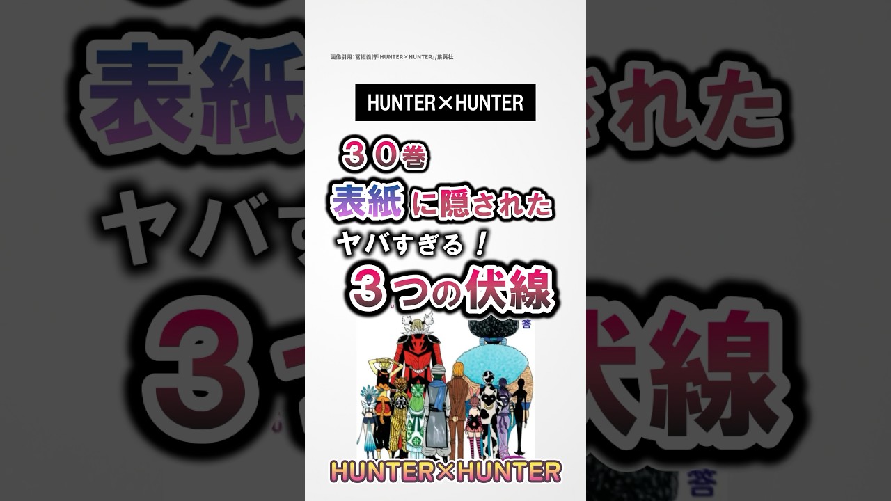 ハンター ハンター 30 巻 表紙