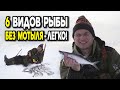 6 разных видов рыбы со льда без мотыля! Дядя Фёдор ловит на "гирлянду".