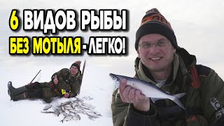6 разных видов рыбы со льда без мотыля! Дядя Фёдор ловит на &quot;гирлянду&quot;.
