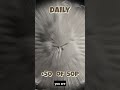 Hunting £50 of 50 pence coins Book 11 day 17  -  What are they really worth ?