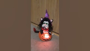 Black Cat In Pumpkin "Cat Scratch Fever" Gemmy Halloween Prototype Sample