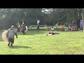 Slavic Invasion 1