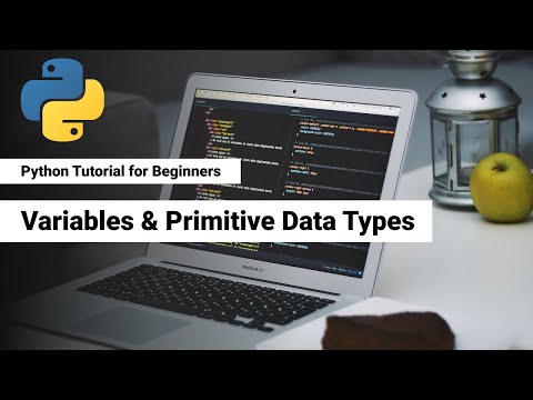 3. Python Variables and Primitive Data Types | | Python Bangla Tutorial for Beginners