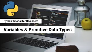 3. Python Variables and Primitive Data Types | | Python Bangla Tutorial for Beginners