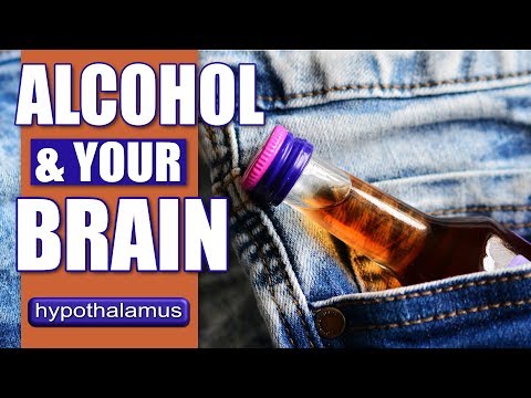 How Alcohol Affects The Brain And Body