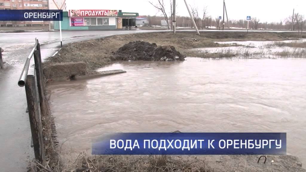 Какой уровень воды в сакмаре у оренбурга