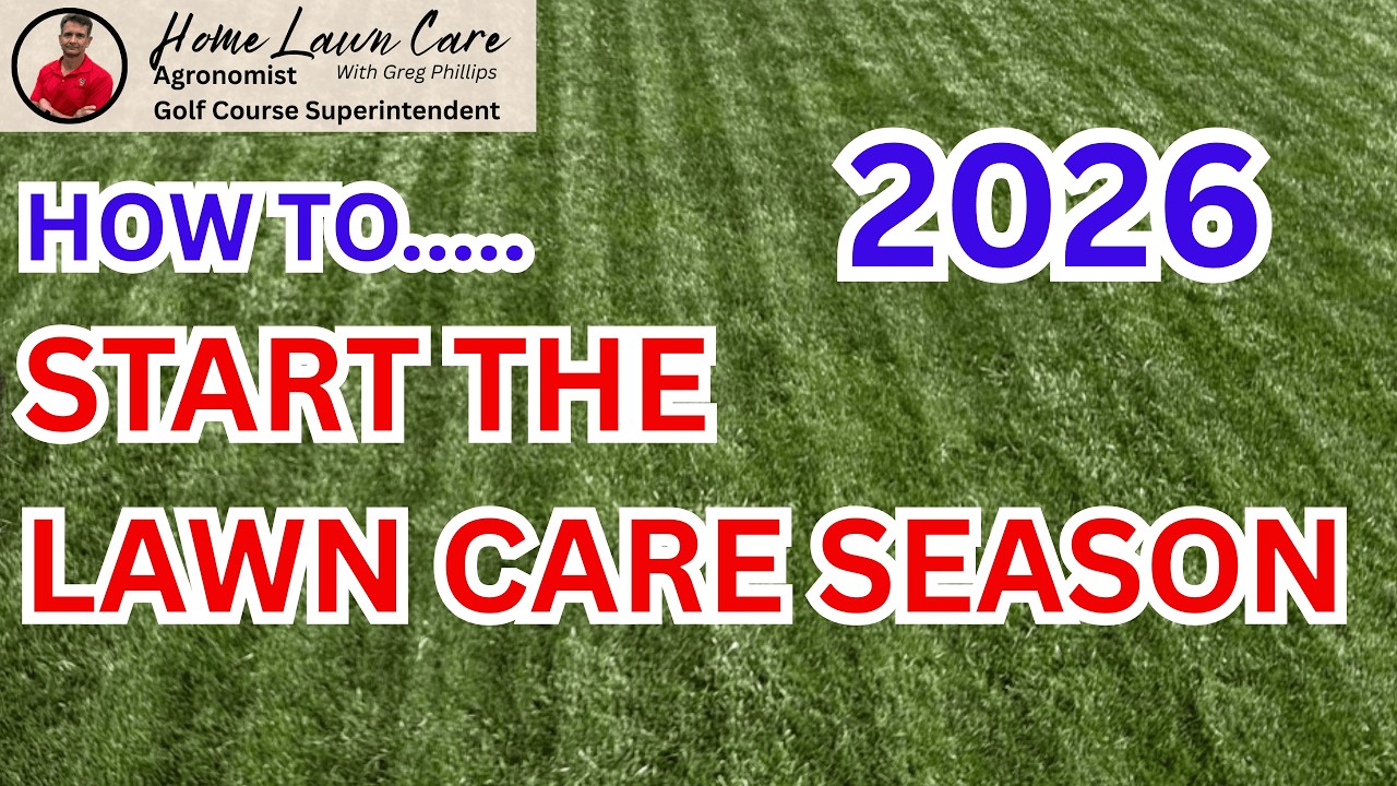 Не допускайте этих ошибок при уходе за газоном весной в этом году.